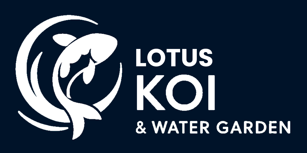 Lotus Koi & Water Garden